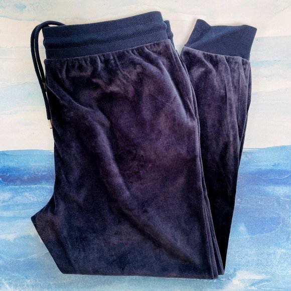 Gap - NWOT Blue Velour Joggers - Picture 5 of 6